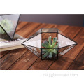 Home Geometrisches Glas Terrarium Blumen Dekoration